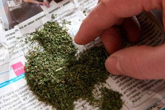 У ранее судимого жителя Мелитополя при обыске нашли внушительные запасы марихуаны
