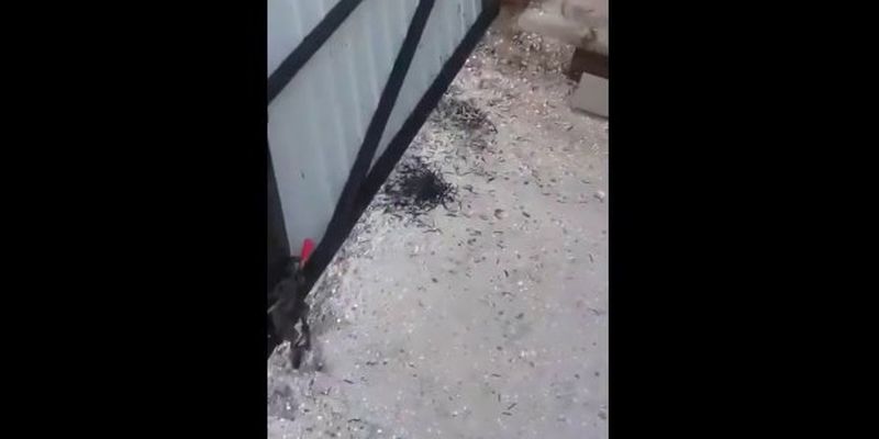 Популярный украинский курорт заполонили черви, которые едят даже бетон