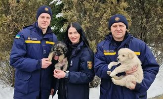 В Харьковской области работники ГСЧС спасли двух щенков