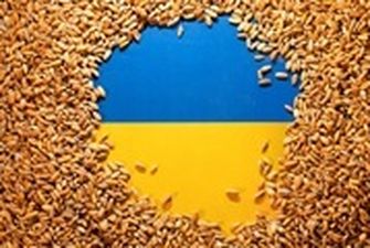 Grain from Ukraine: Украина спасет мир от голода
