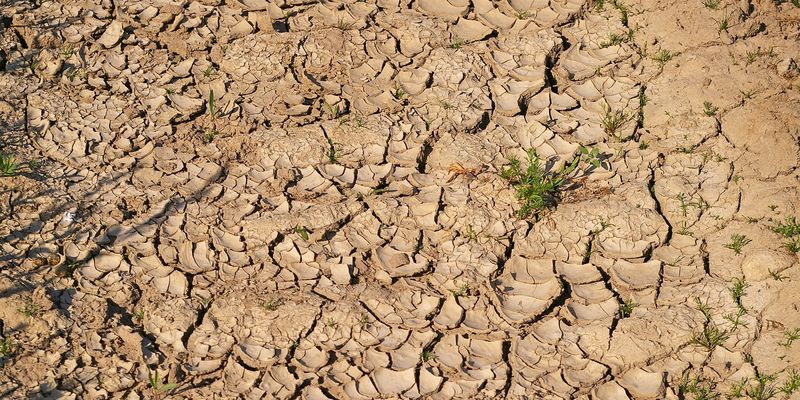 У ВРУ можуть створити міжвідомчу робочу групу для боротьби з наслідками посухи