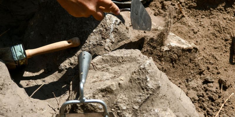 Посуда, пули и монеты: археологи нашли старинные артефакты в Житомире