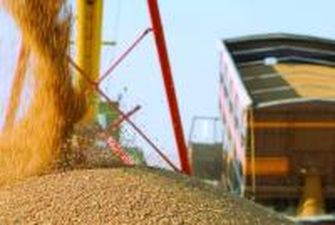 Экспорт зерна в новом сезоне достиг почти 2 млн тонн