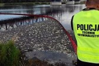 Тести Польщі та Німеччини не можуть відповісти на запитання, що викликало загибель риби в річці Одер