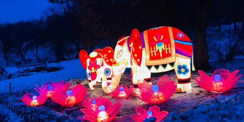 На фестиваль китайских фонарей пустят бесплатно: кто может получить билеты