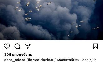 Природа также страдает от войны. Фото пеликанов, летящих сквозь дым от ракетных обстрелов Одесской области, растрогало сеть