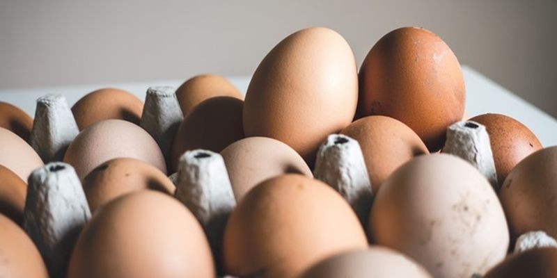 Россия прекратила поставки в ОРДЛО яиц и мяса курицы