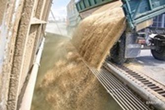 Египет расторг контракт на тысячи тонн украинского зерна