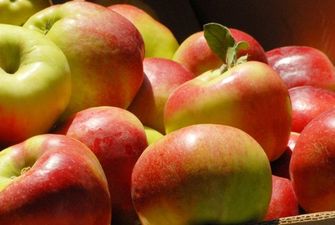Импорт яблок в Украину увеличился в 7 раз, экспорт сократился вдвое