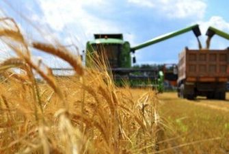 Туреччина розслідує викрадення Росією українського зерна