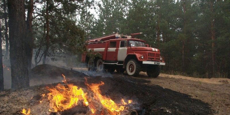 Украинцев предупредили о высокой пожарной опасности в стране