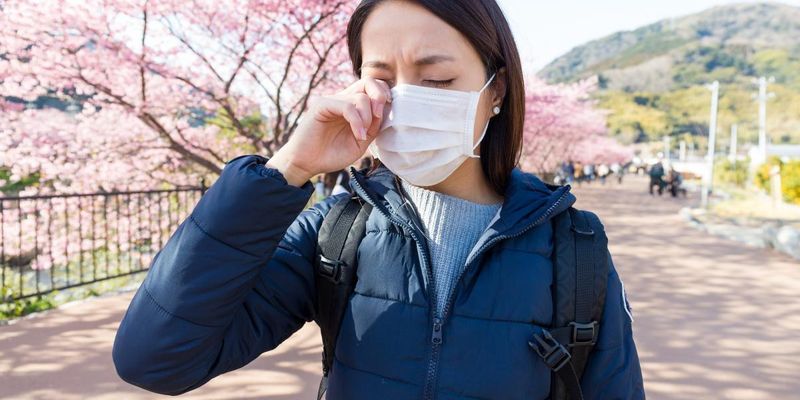 В Японии работникам, страдающим сенной лихорадкой, предлагают сбежать в другие регионы
