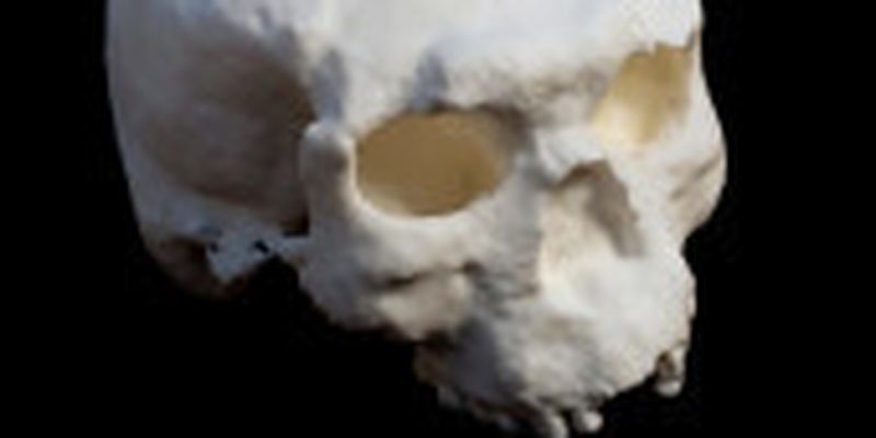 У Китаї знайшли череп віком понад мільйон років