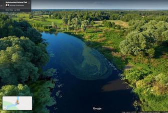 Google создает виртуальные туры по украинским паркам: по шести уже можно погулять онлайн