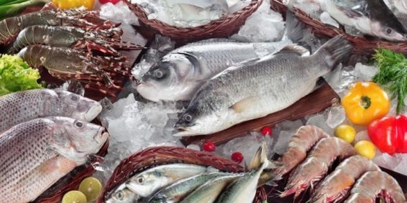 В Україні знищують рибну галузь