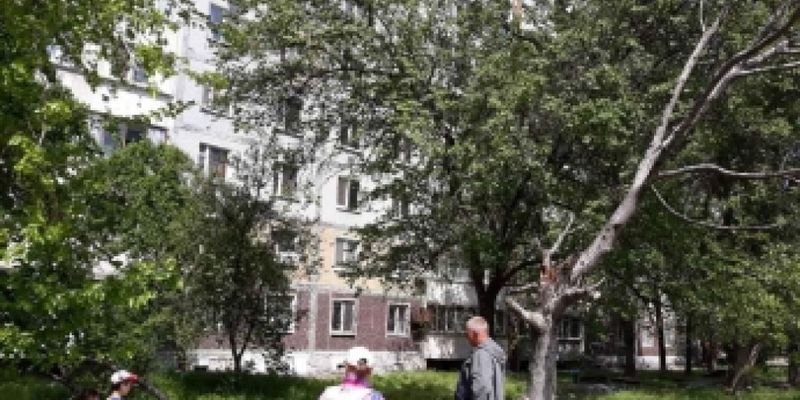В Запорожье старое дерево рухнуло на женщину с ребенком