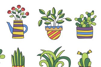 5 растений, которые сделают воздух дома чистым