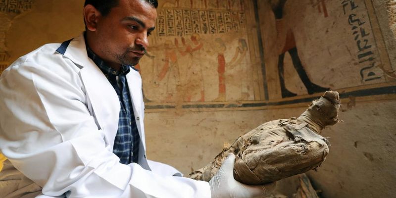 Науковці розкрили таємницю священних пташиних мумій Давнього Єгипту