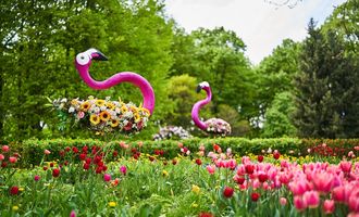 Весенний сезон открыт: в парке Спивоче открылась выставка цветов