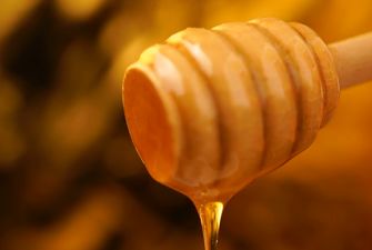 Як відрізнити справжній мед від підробки в домашніх умовах?