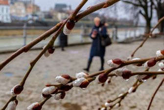 Местами до +20: погода в Украине 23 марта будет теплой, но в Карпатах угроза лавин
