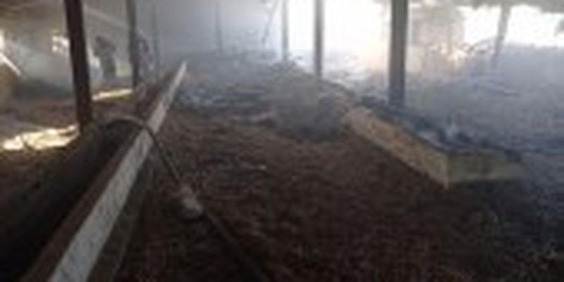 Загорілась стара ферма, у будинках – вибиті вікна: наслідки ворожих обстрілів Сумщини з території рф