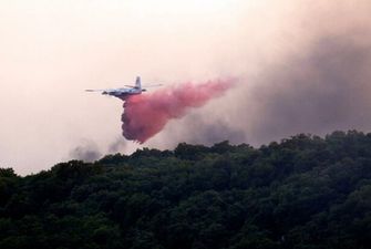 Трагедія в Росії: після жорсткої посадки літак спалахнув, наче факел, не вижив ніхто