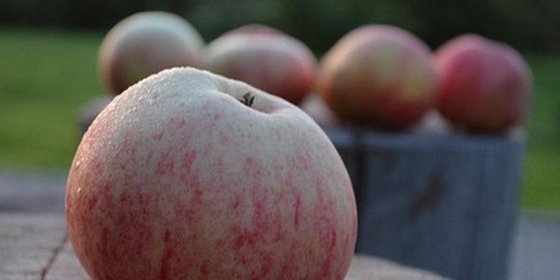 Яблочный Спас 2022: красивые поздравления в открытках и стихах