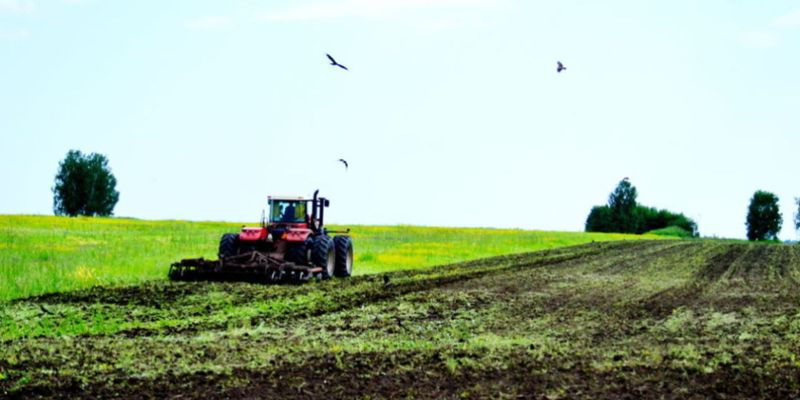 В законе о рынке земли ничего не сказано о продовольственной безопасности Украины - экономист