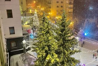"Снег пошел - каких еще реформ не хватает?" Фото Зеленского с Банковой взорвало сеть