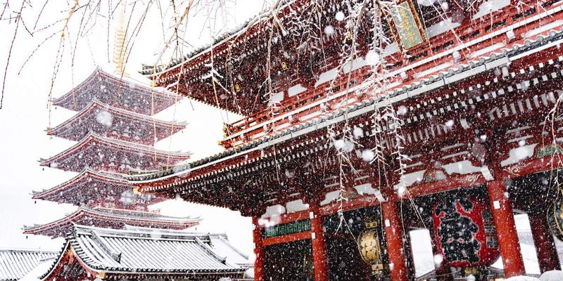 Токио впервые за несколько лет засыпало снегом