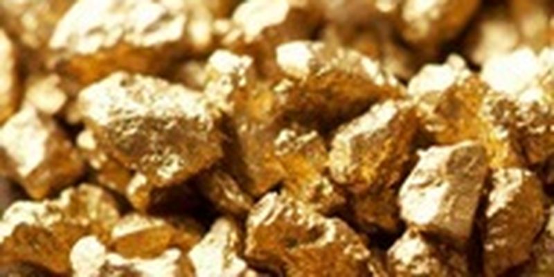 Россиянин пытался вывезти за границу слитки самородного золота