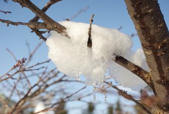 Пуховики прятать рано: в Украине ударят сильные морозы, список областей