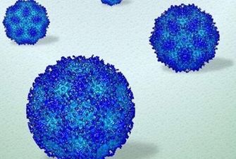 Ученые показали, как вирусы функционируют в человеческом организме