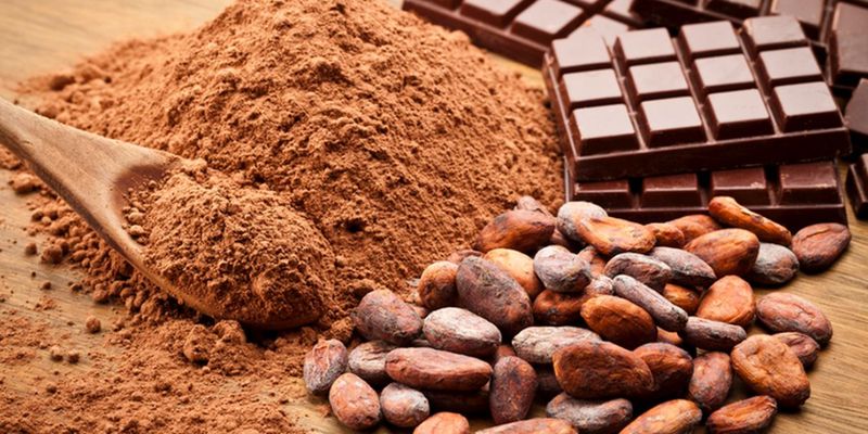 Рынок какао в мире: почему цены на шоколад бьют рекорды