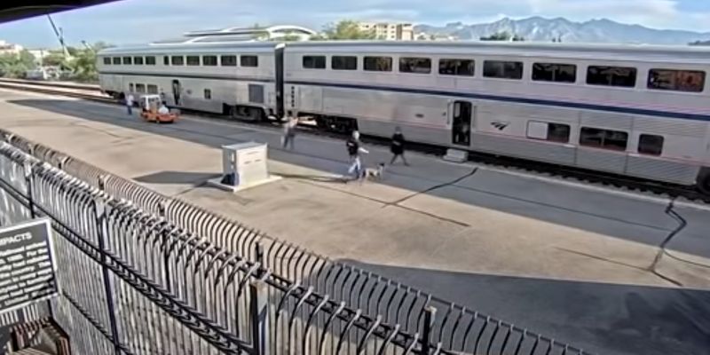 Пассажир поезда начал перестрелку прямо в вагоне, его нашли мертвым: появилось видео