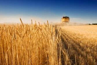 Україна знизила експорт зерна на понад третину