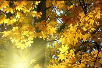 Погода на 19 жовтня: Україна засяє на сонці