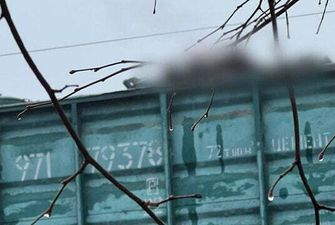 Развлекался и погиб: под Киевом током убило 13-летнего парня, который залез на грузовые вагоны