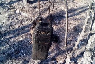 Отдых с шашлыком: под Киевом группа отдыхающих едва не уничтожила целый лес