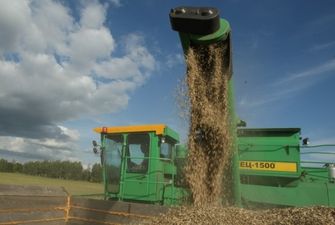 Как рекордный урожай зерна повлияет на цены в магазинах