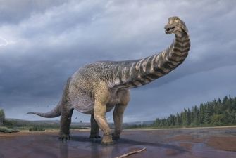 Ученые классифицировали новый вид динозавра - одного из самых больших, что жили на Земле