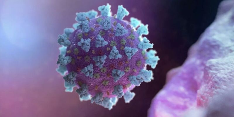 Создан искусственный вирус, блокирующий коронавирусные инфекции