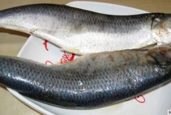 Популярную среди украинцев рыбу врачи назвали суперпродуктом