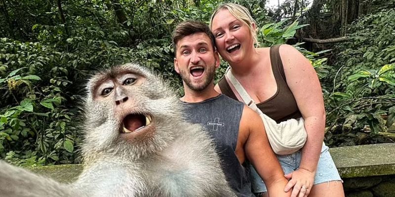 Отпуск удался: обезьяна сделала незабываемое селфи с удивленными туристами