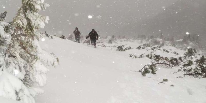 Українців попередили про снігопади та хуртовини у Карпатах