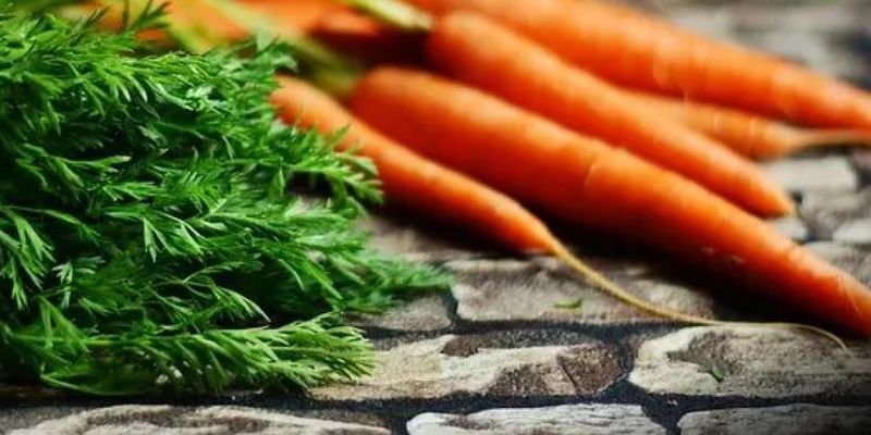 Эксперты назвали скрытую пользу от употребления морковки