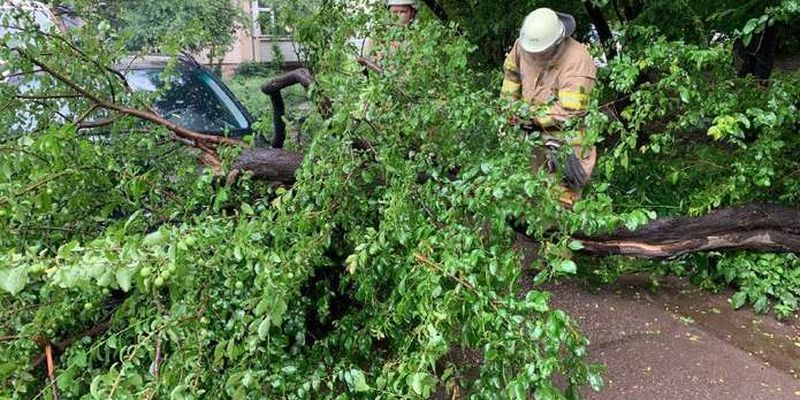 Дерева впали на проїжджі частини та автомобіль: наслідки негоди на Буковині