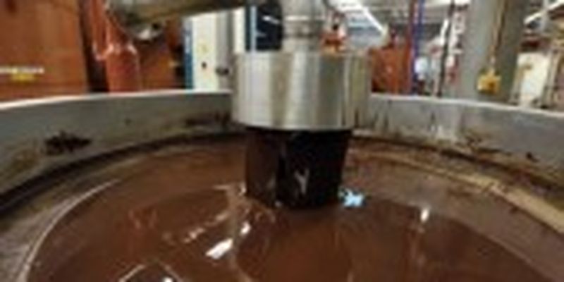 На найбільшій у світі шоколадній фабриці виявлено сальмонеллу
