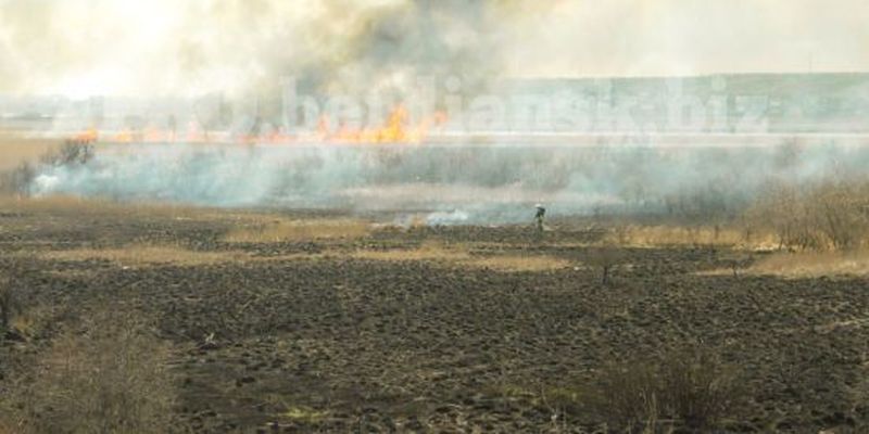 Поблизу Бердянська підлітки спалили гектари заповідної території